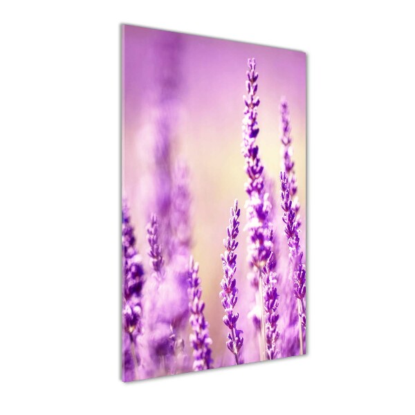 Quadro acrilico verticale Lavanda