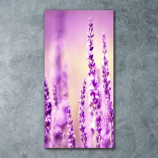 Quadro acrilico verticale Lavanda