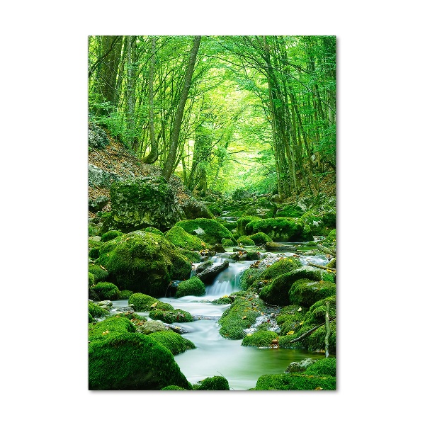 Quadro in vetro acrilico verticale Un ruscello nella giungla