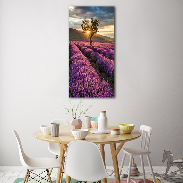 Quadro vetro acrilico verticale Campo di lavanda