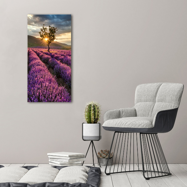 Quadro vetro acrilico verticale Campo di lavanda
