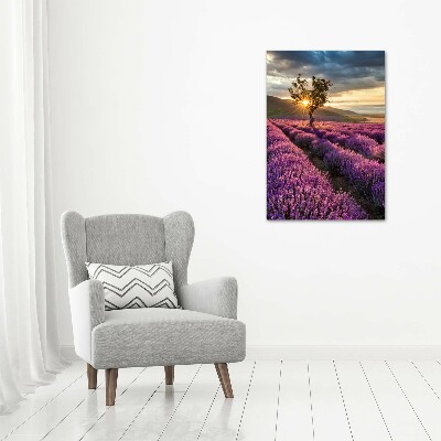 Quadro vetro acrilico verticale Campo di lavanda