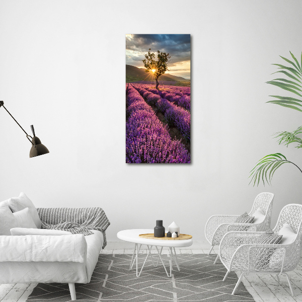 Quadro vetro acrilico verticale Campo di lavanda