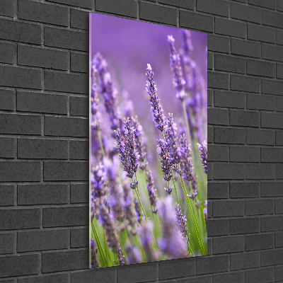 Quadro in vetro acrilico verticale Campo di lavanda
