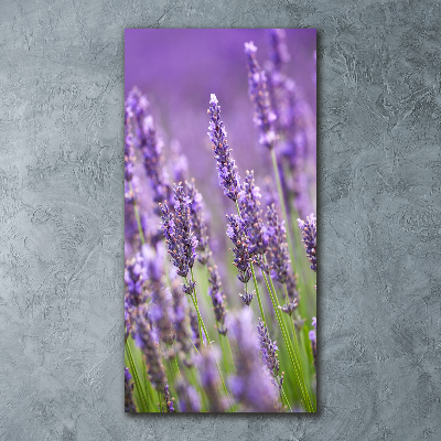 Quadro in vetro acrilico verticale Campo di lavanda