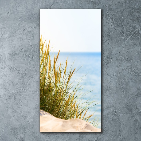 Quadro vetro acrilico verticale Dune costiere