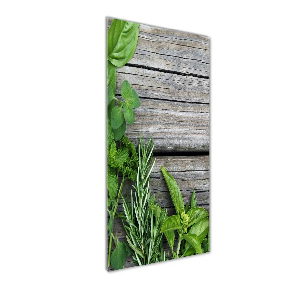 Quadro acrilico verticale Erbe aromatiche su legno