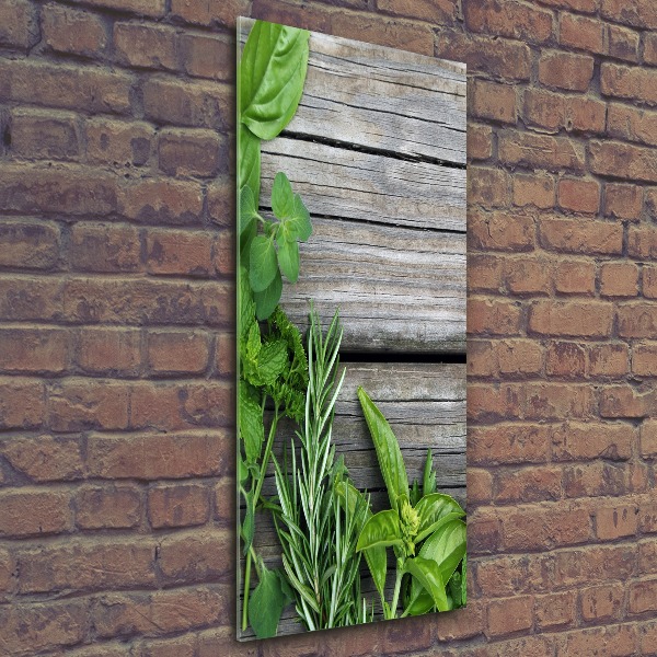 Quadro acrilico verticale Erbe aromatiche su legno