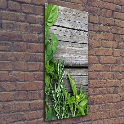 Quadro acrilico verticale Erbe aromatiche su legno