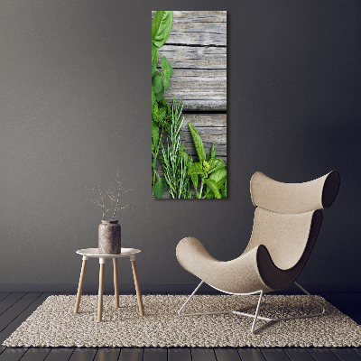 Quadro acrilico verticale Erbe aromatiche su legno