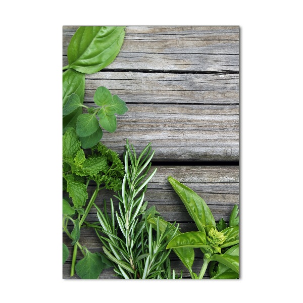Quadro acrilico verticale Erbe aromatiche su legno