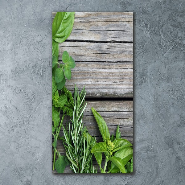 Quadro acrilico verticale Erbe aromatiche su legno
