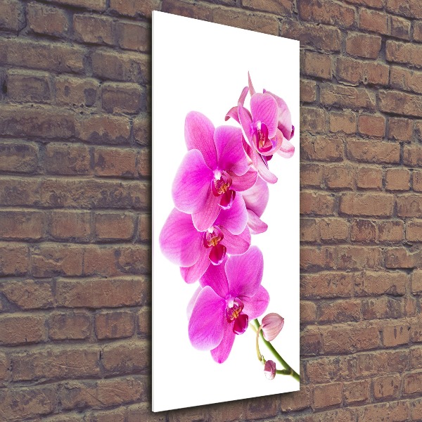 Quadro acrilico verticale Orchidea rosa