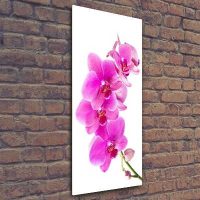 Quadro acrilico verticale Orchidea rosa