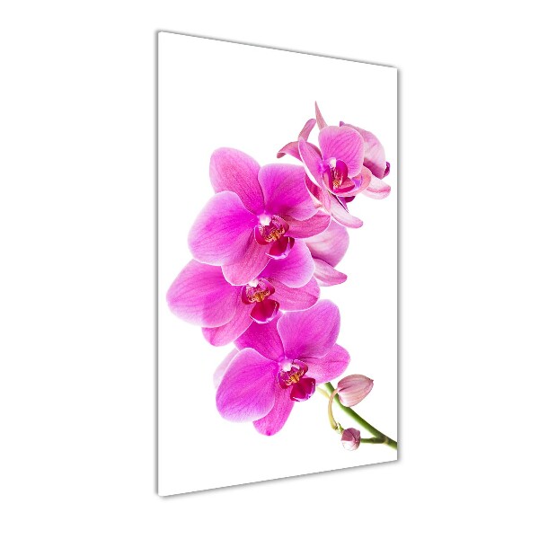 Quadro acrilico verticale Orchidea rosa
