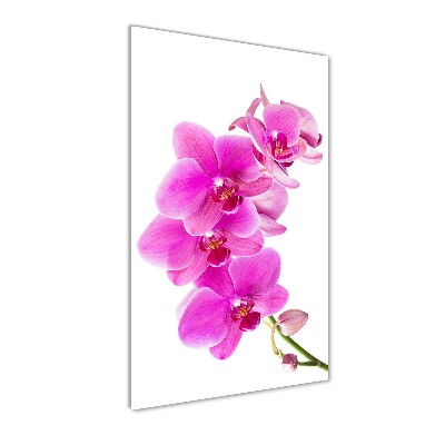 Quadro acrilico verticale Orchidea rosa