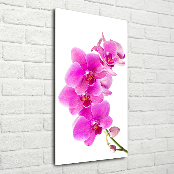 Quadro acrilico verticale Orchidea rosa
