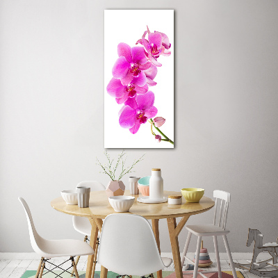 Quadro acrilico verticale Orchidea rosa