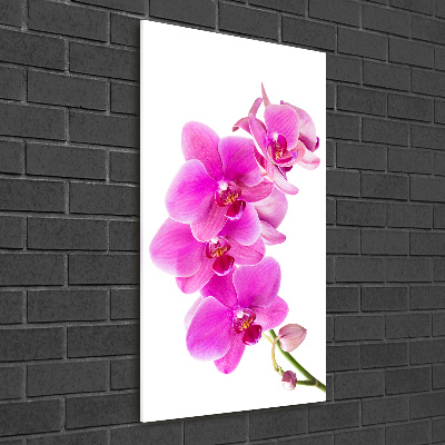 Quadro acrilico verticale Orchidea rosa