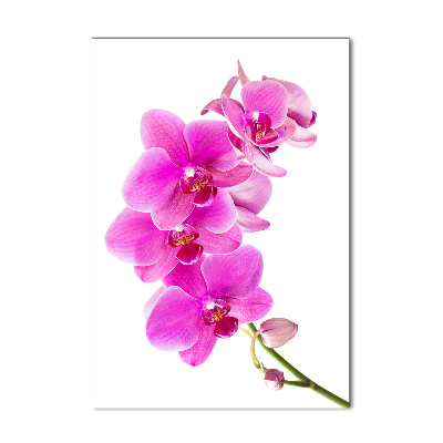 Quadro acrilico verticale Orchidea rosa