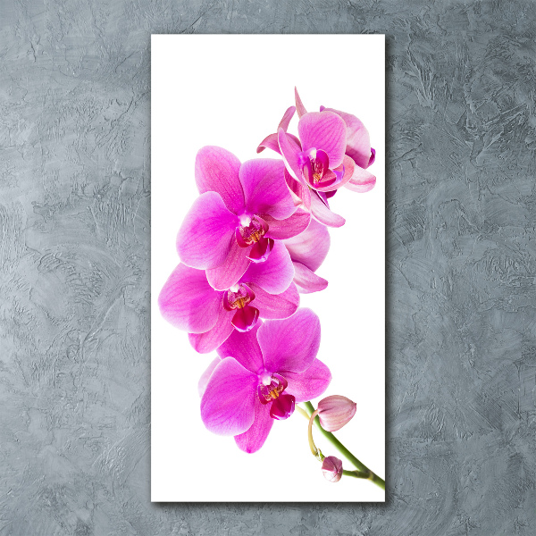Quadro acrilico verticale Orchidea rosa