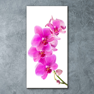 Quadro acrilico verticale Orchidea rosa
