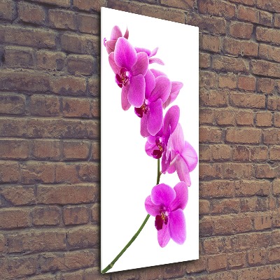 Quadro vetro acrilico verticale Orchidea rosa