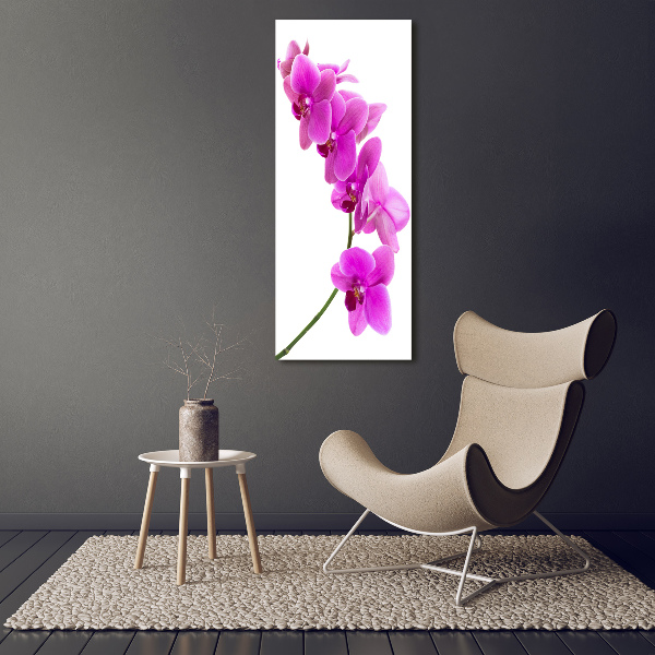 Quadro vetro acrilico verticale Orchidea rosa