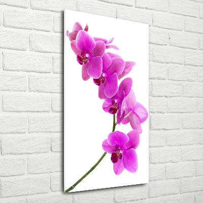 Quadro vetro acrilico verticale Orchidea rosa