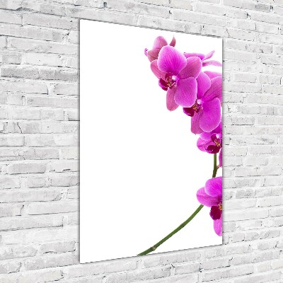 Quadro vetro acrilico verticale Orchidea rosa