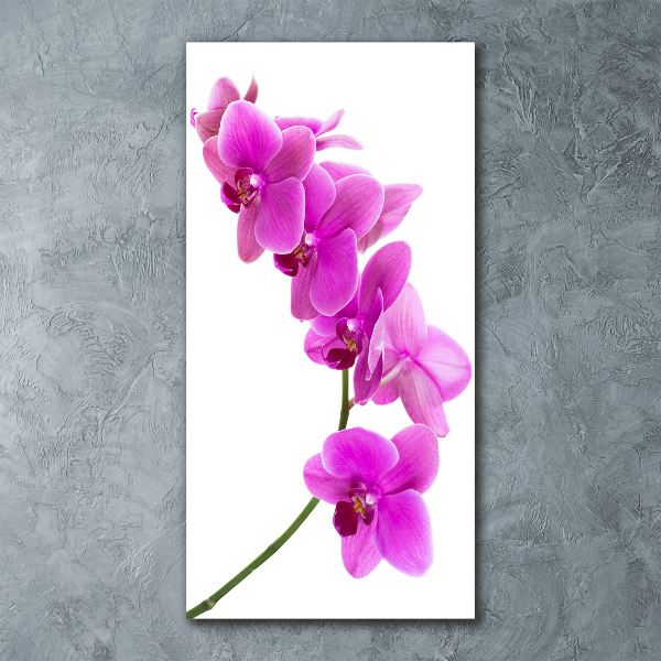 Quadro vetro acrilico verticale Orchidea rosa