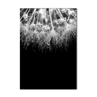 Quadro stampa su vetro acrilico verticale Semi di tarassaco