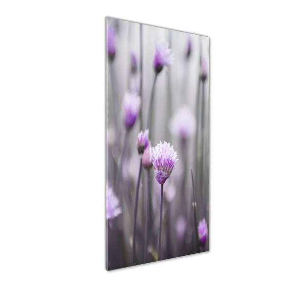 Quadro in vetro acrilico verticale Fiori di erba cipollina