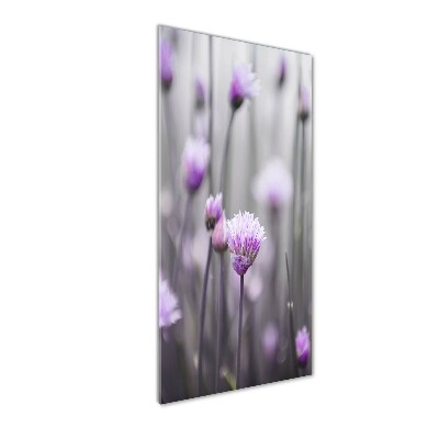 Quadro in vetro acrilico verticale Fiori di erba cipollina