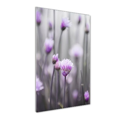 Quadro in vetro acrilico verticale Fiori di erba cipollina