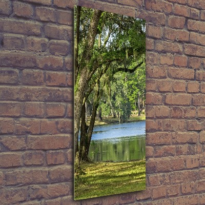 Quadro stampa su vetro acrilico verticale Lago nel parco