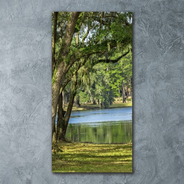 Quadro stampa su vetro acrilico verticale Lago nel parco