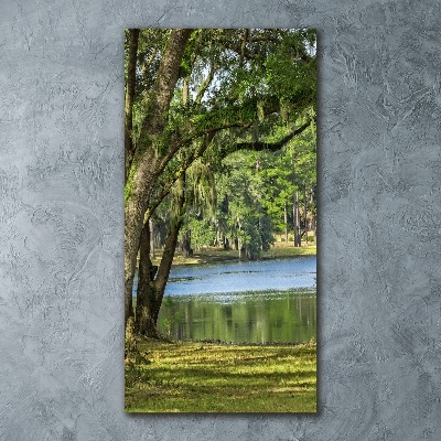 Quadro stampa su vetro acrilico verticale Lago nel parco