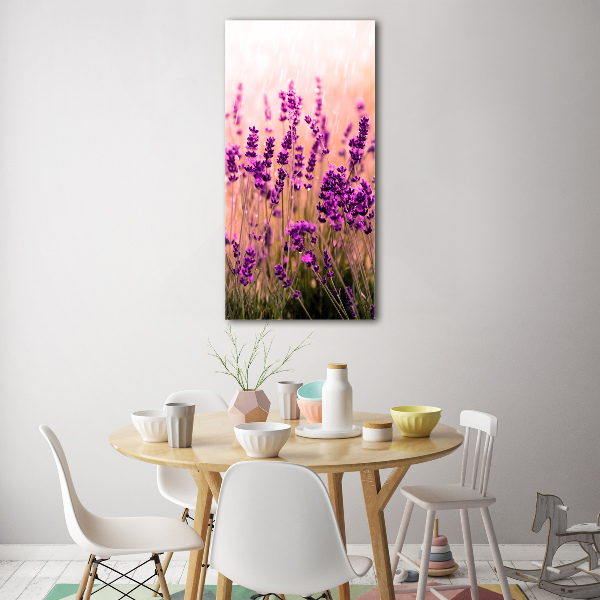 Quadro vetro acrilico verticale Campo di lavanda