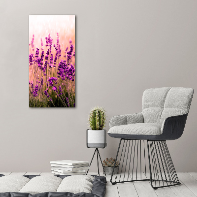 Quadro vetro acrilico verticale Campo di lavanda