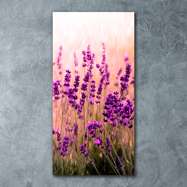 Quadro vetro acrilico verticale Campo di lavanda