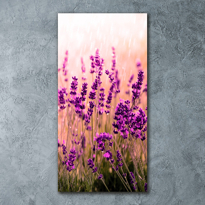 Quadro vetro acrilico verticale Campo di lavanda