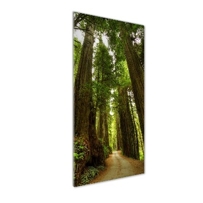 Quadro vetro acrilico verticale Sentiero nella foresta