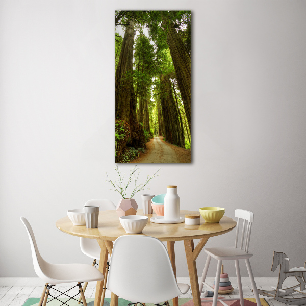 Quadro vetro acrilico verticale Sentiero nella foresta