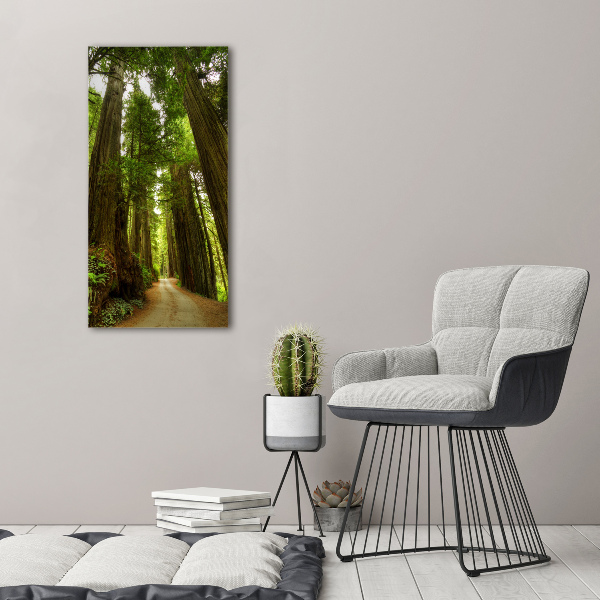 Quadro vetro acrilico verticale Sentiero nella foresta