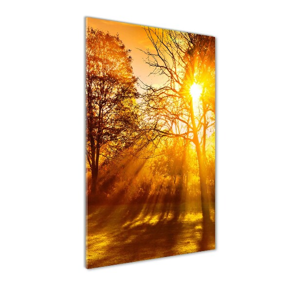 Quadro in vetro acrilico verticale Parco in autunno