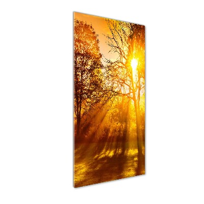 Quadro in vetro acrilico verticale Parco in autunno
