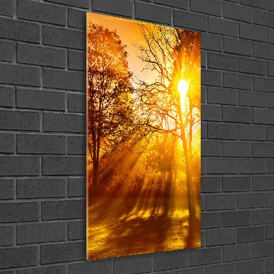 Quadro in vetro acrilico verticale Parco in autunno