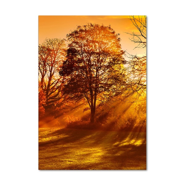 Quadro in vetro acrilico verticale Parco in autunno