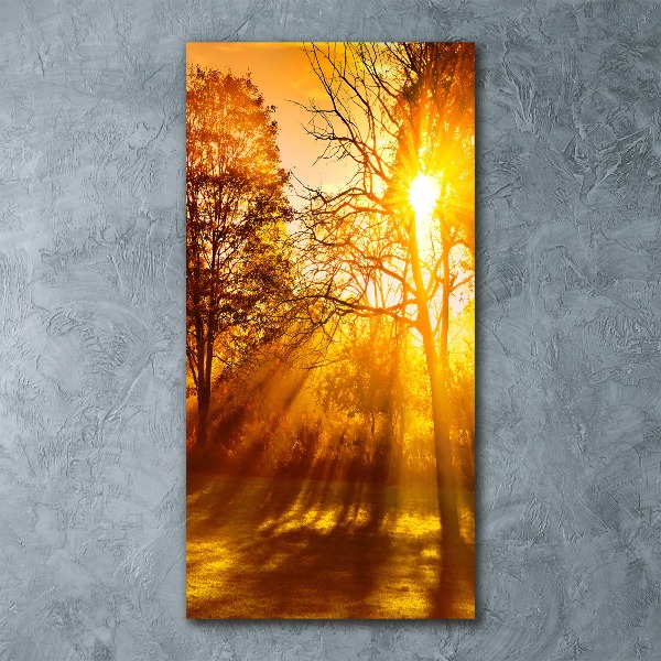 Quadro in vetro acrilico verticale Parco in autunno